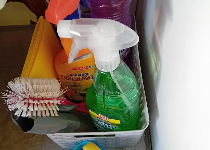 Reina كوستا تاغيسي