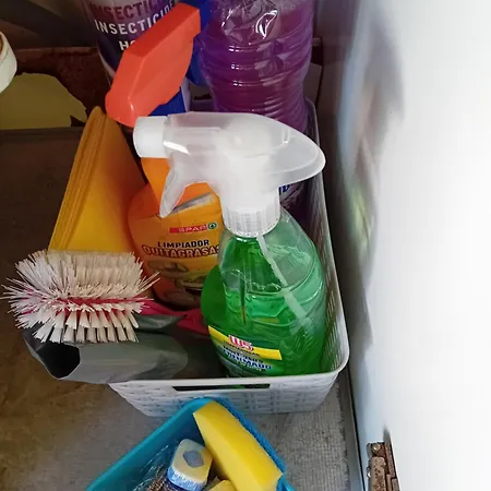 Reina קוסטה טגוויסה